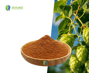 Poudre d'extrait de fleur de houblon de bière Humulus <span class=keywords><strong>Lupulus</strong></span> de qualité alimentaire 10:1 du fabricant disponible en bouteilles - Product Image 2