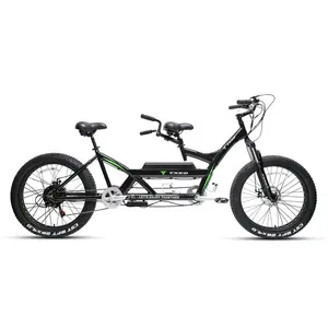 TXED الدراجة الإلكترونية الدهون الإطارات مع 48V W المحرك للتجول مقعدين دراجة إلى جانب
