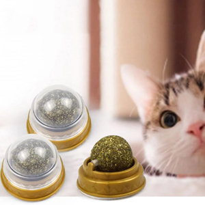 Chase Play Modern Eco-Friendly Catnip Ball <b>Toy</b> with Wall-Mounted Design Reusable Catnip <b>for</b> Active <b>Cats</b>' <b>Indoor</b> Exploration - Product Image 5