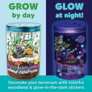 Erziehungs wissenschaft liche Kits Bastel projekte Geschenk Leuchten DIY Terrarium Kit für Kinder