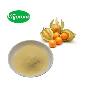 Bio-Golden berry Powder Natürliches Physalis peruviana Powder Pure Cape Stachel beer pulver