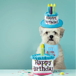 Giocattoli <span class=keywords><strong>per</strong></span> <span class=keywords><strong>cani</strong></span> <span class=keywords><strong>torta</strong></span> di compleanno forniture <span class=keywords><strong>per</strong></span> animali domestici <span class=keywords><strong>torta</strong></span> di buon compleanno a forma di cane cigolante giocattoli <span class=keywords><strong>per</strong></span> regalo - Product Image 6