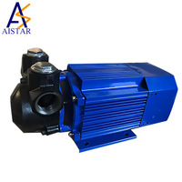 Pompe de transfert de carburant 12V/24V/220V, Durable, pompe de transfert de carburant avec bon prix