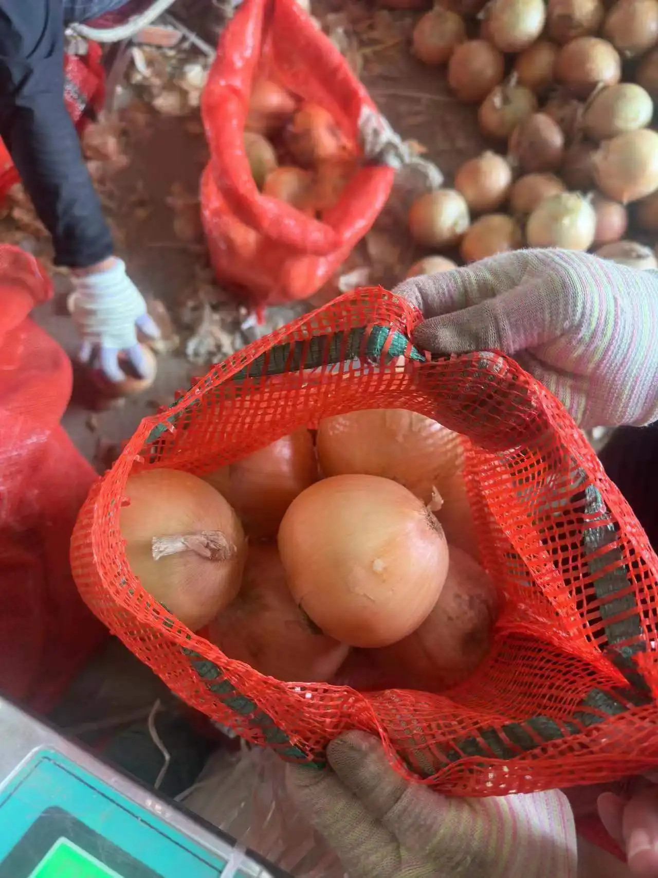 2023 nouvelle saison légumes chinois frais rouge jaune blanc oignon ail prix par tonne de Chine oignons frais d'Inde acheteurs en vrac