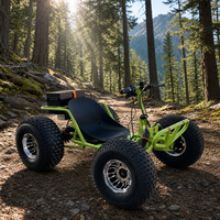 Kart électrique pour adultes 48V 1800W, 45 km/h, tout-terrain, buggy de drift hors route avec batterie au lithium pour l'aventure en plein air