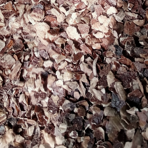 GIA NGUYEN Sustainable Cashew Husk Testa Bio Fuel Pellets & <b>Raw</b> Cashew Nut <b>Skin</b> Powder for Animal Feeds Vietnam - Product Image 1