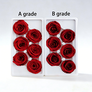 Rosas <span class=keywords><strong>Preservadas</strong></span> a Precio de Fábrica, 5-6cm, Grado B, Cabeza de Rosa Natural Eterna para Decoración de Bodas, Día de la Madre - Product Image 5
