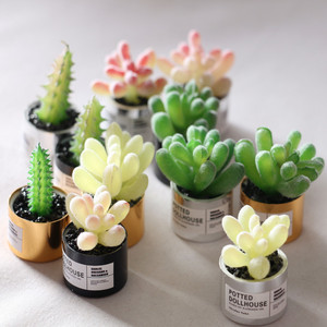 Modèle miniature <span class=keywords><strong>de</strong></span> plante succulente <span class=keywords><strong>en</strong></span> métal pour <span class=keywords><strong>maison</strong></span> <span class=keywords><strong>de</strong></span> poupée, matériau artisanal Ob11 GSC - Product Image 2