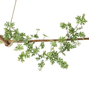 Pianta Artificiale Elegante Succulenta con Etichetta Personalizzata Fiori Artificiali Resistenti ai Raggi UV Realistici per Fotografia Scaffale a Muro in Rattan - Product Image 4