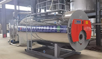 Chaudière à vapeur à tube de feu horizontal pour l'industrie alimentaire, haute pression, automatique, à gaz ou à mazout, 1000 kg/h, générateur de vapeur