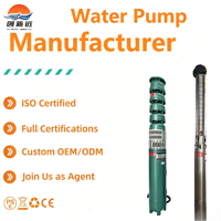 Pompe submersible multistade résistante au sable pour puits profond, débit de 10 m³/h, triple étanchéité, propriétés anti-usure pour eau chargée de sable, directement de l'usine