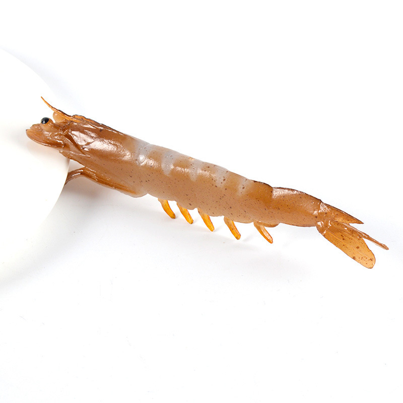 Crevettes droites - sans aimant