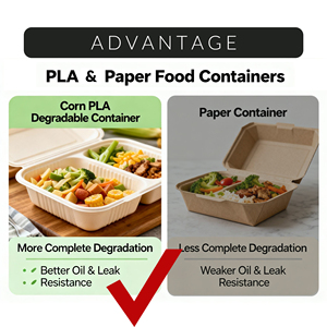 Ecologische maïszetmeel saladekom/pastakom met deksel, lekvrij, magnetronbestendig, op maat gemaakt voor de voedingsindustrie - Product Image 6