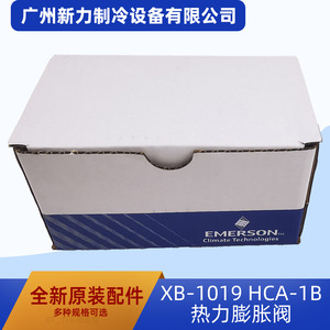 Vanne d'expansion thermique Xb-1019 Hca-1b avec tête d'alimentation et sonde de température pour pièces de climatisation centralisée - Product Image 4