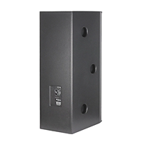 Haut-parleur passif professionnel DS-215 de 15 pouces, 2 voies, 8 ohms, aimant néodyme, pour sonorisation de scène extérieure et moniteur audio surround
