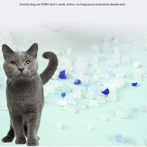 ペット製品高速洗浄脱臭ほこり臭防止ジェルクリスタルサンドシリカ猫砂 - Product Image 3