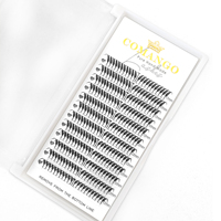 Extensions de cils Anime Spire, Nouveau style Fox Spire, Forme plumeuse style manga, 0.07mm, Mix 8-15mm, Cils volume