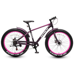 Venta caliente deportes el Fatboy <span class=keywords><strong>elcykel</strong></span> eléctrico Fat bike híbrido scooter motocicleta para hombres - Product Image 6