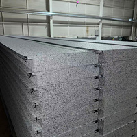 Panneaux sandwich en polystyrène pour isolation thermique et acoustique ignifugés, panneaux pour salles blanches
