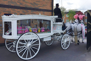 Kereta peti mati kaca tradisional dengan kuda hitam transportasi pemakaman populer Jerman langsung pabrikan-kuda kuncir - Product Image 2