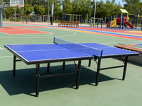Offre directe d'usine Table de ping-pong d'entraînement de 15mm étanche à l'extérieur