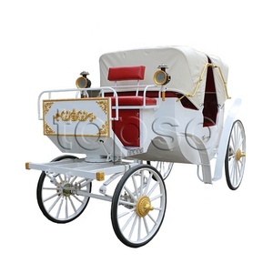 Bán buôn điện ngựa vận chuyển cho Tham quan công viên giải trí cơ sở - Product Image 6