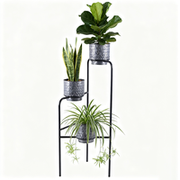 Support de plante en fer écologique et minimaliste moderne finition enduite de poudre pour le jardin présentoir multifonctionnel d'herbes succulentes