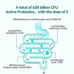 Suplemento de Probióticos em Pó Personalizado OEM ODM com Marca Privada para Saúde Intestinal e Digestiva - Product Image 5