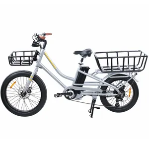 Electric Cargo Bike Bicycle Fat Tire E Bike 750w Powerful Other Electric City Ebike With Rear Bracket Display Racks Cycle