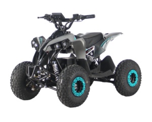 Vente flash - <span class=keywords><strong>Quad</strong></span> électrique 48V <span class=keywords><strong>800W</strong></span>, moto tout-terrain <span class=keywords><strong>pas</strong></span> chère, mini ATV pour enfants et adultes avec transmission semi-automatique - Product Image 3