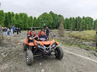 Dune Buggy familial 4 temps à essence tout-terrain avec certificat EPA Renli 200cc pour adultes