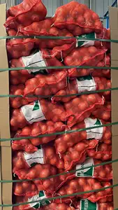 หัวหอมฮอลแลนด์สีแดงและสีเหลืองพืชผลใหม่ใน2023หัวหอมจีน