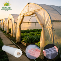 Film de serre pour tunnel polyvalent, couverture plastique pour la rétention de chaleur agricole en hiver pour les cultures hivernales