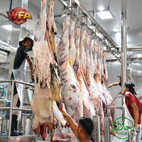 Ligne d'abattage de bétail, équipement de traitement des carcasses de bovins, équipement d'abattage de buffles, usine d'abattage, usine d'abattage de buffalos, ISO CE