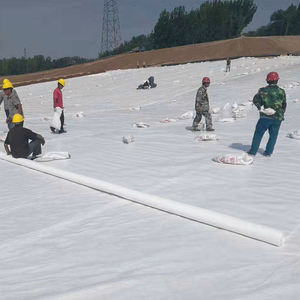 Vente d'usine 100-500gsm tissu géotextile non tissé prix bas géotextile route humidité jardin Filtration pente Protection - Product Image 6