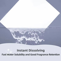 Feuilles de lessive OEM écologiques jetables à 50%-80% d'ingrédients actifs, haute mousse, personnalisables avec marque privée, pour une douceur optimale