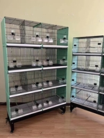 Grande Cage d'Élevage Modulable à Plusieurs Niveaux Mobile pour Oiseaux à Vendre