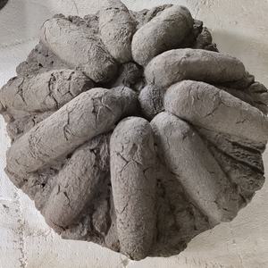 Zigong Blauwe Hagedis Opgraving Animatronic Dinosaurus Giant Skeletschedel Stegosaurus Dinosaurus Fossielen - Product Image 4