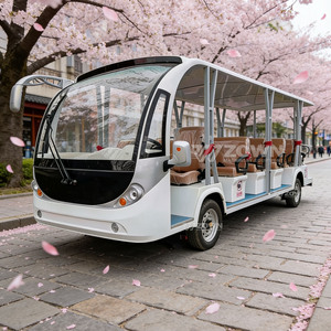 Navette électrique de type abri ZOWN pour visites touristiques, à performance stable, pour village de vacances - Product Image 4