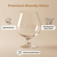Verres à vin jetables personnalisés sans pied en acrylique PC incassable pour mariage