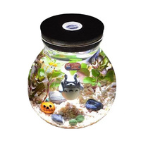 Vente en gros de terrariums en verre pour micro-paysages, récipients en verre ronds transparents faits à la main, terrarium avec lumière LED et couvercle en liège