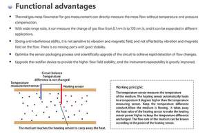 Medidor de Flujo Másico de Gas Térmico de Acero Inoxidable Tipo Inserción para Monitoreo de Caudal en Ductos y Chimeneas - Product Image 5