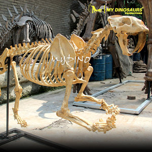 Squelette d'animal de l'ère glaciaire préhistorique, squelette de Smilodon - Product Image 1