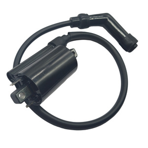 Bobine d'allumage Jilong 306813036 pour moto monocylindre Kymco 400X-CITING, pièce de rechange - Product Image 1