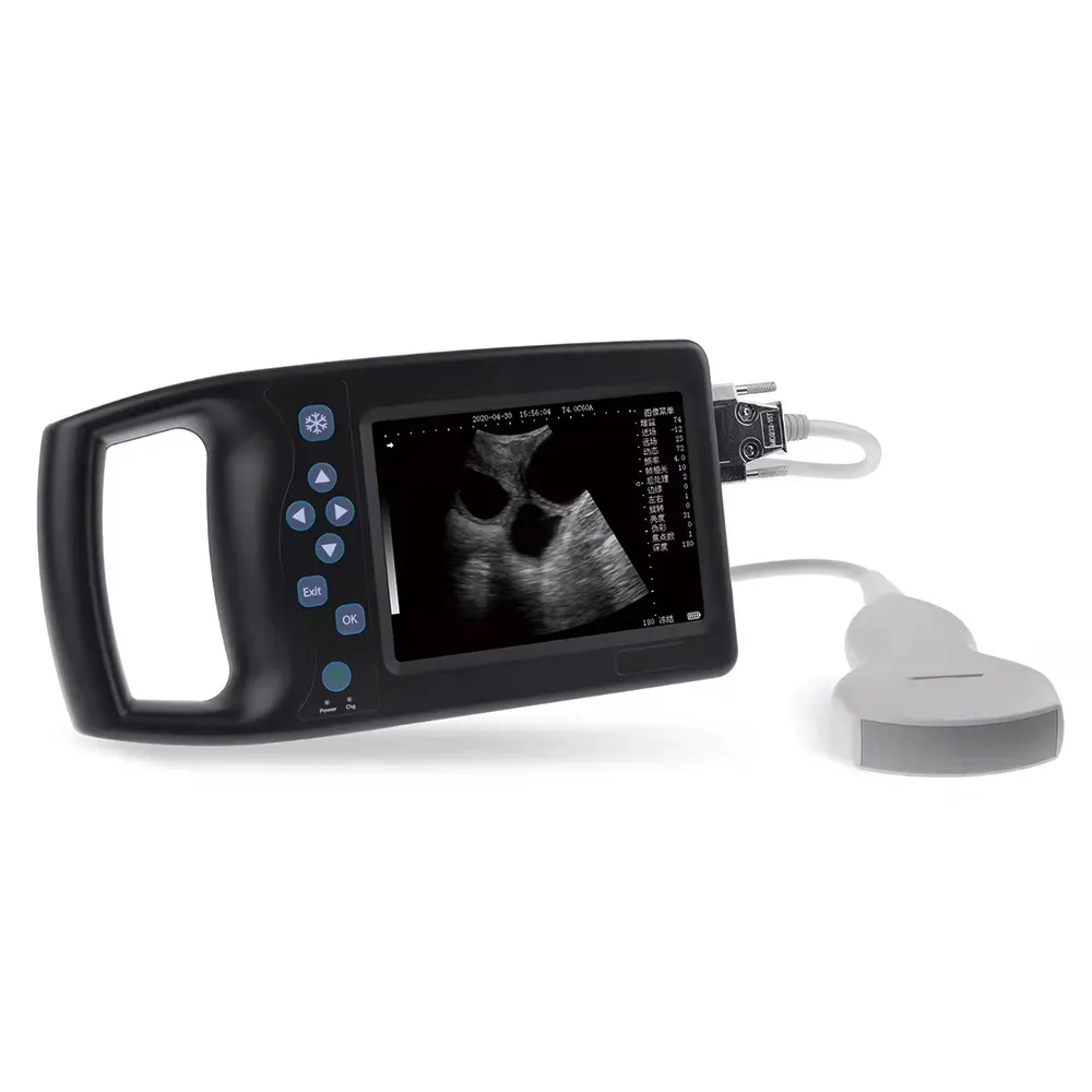 ICEN Medical Best Portable Digital Swine Feline Goat Veterinary Pregnancy Ultrasound Scanner Machine Price