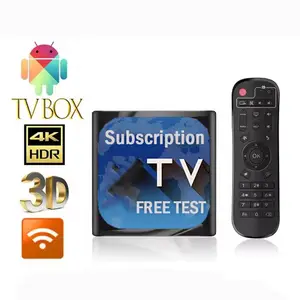 LZ Android TV Box Support IP TV 12 mois M3U Avec Sma rters code Test gratuit mega lion ip tv revendeur panel