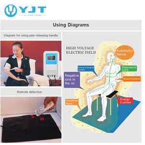 Elektro magnetisches Gerät Physiotherapie Elektro therapie geräte für Diabetes, Blut hochdruck - Product Image 2