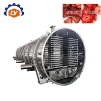 Commerciële fruitvriesdroogmachine industriële vacuümvriesdroger 20kg 30kg 50kg 160kg