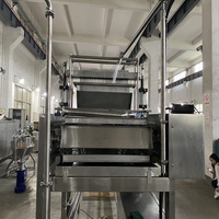 Machine à Popping Boba en Acier Inoxydable 304 Entièrement Automatique, Fabrication de Petites Boules de Cristal de Perles de Tapioca