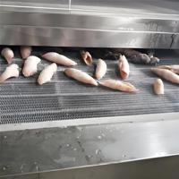 Hete Aanbieding Hoge Efficiëntie Tunnelvriezer 750kg/u IQF Vries Tunnel voor Commerciële Pasta, Vlees en Zeevruchten